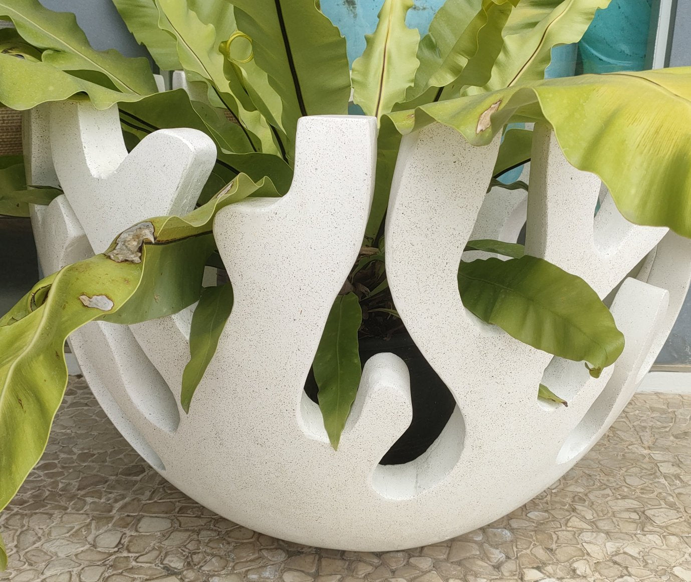 Terrazzo Outdoor Pottery - Root Motive
