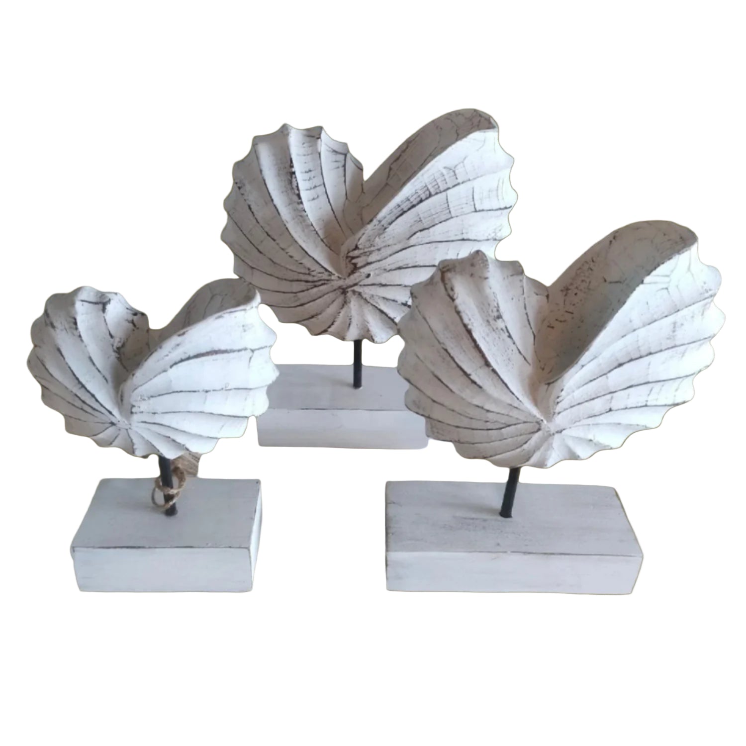 Shell Decoration - Wood Hand Carving