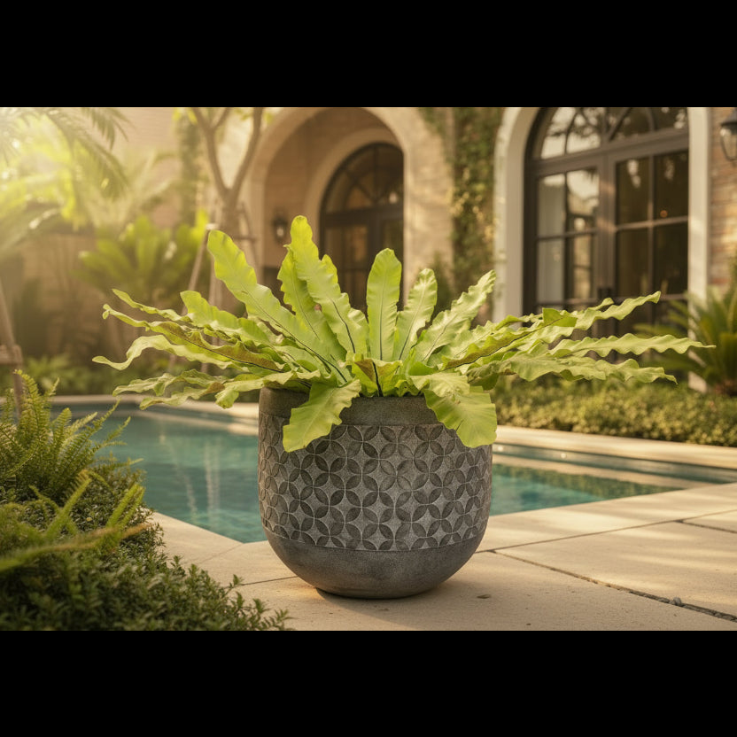 Large Garden Planters in Thailand: A Scale and Placement Guide