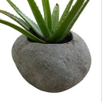 Cylindrical natural stone pot with aloe vera plant on a textured surface