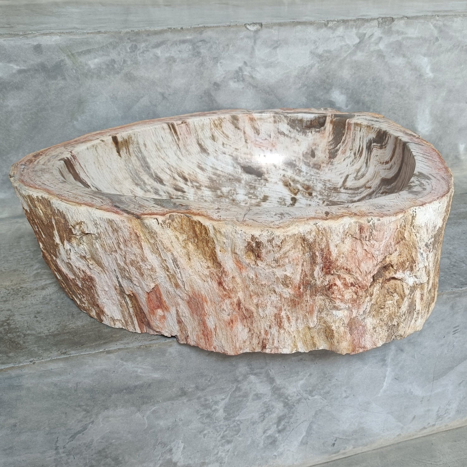 Petrified Wash Basin by Zee Zee