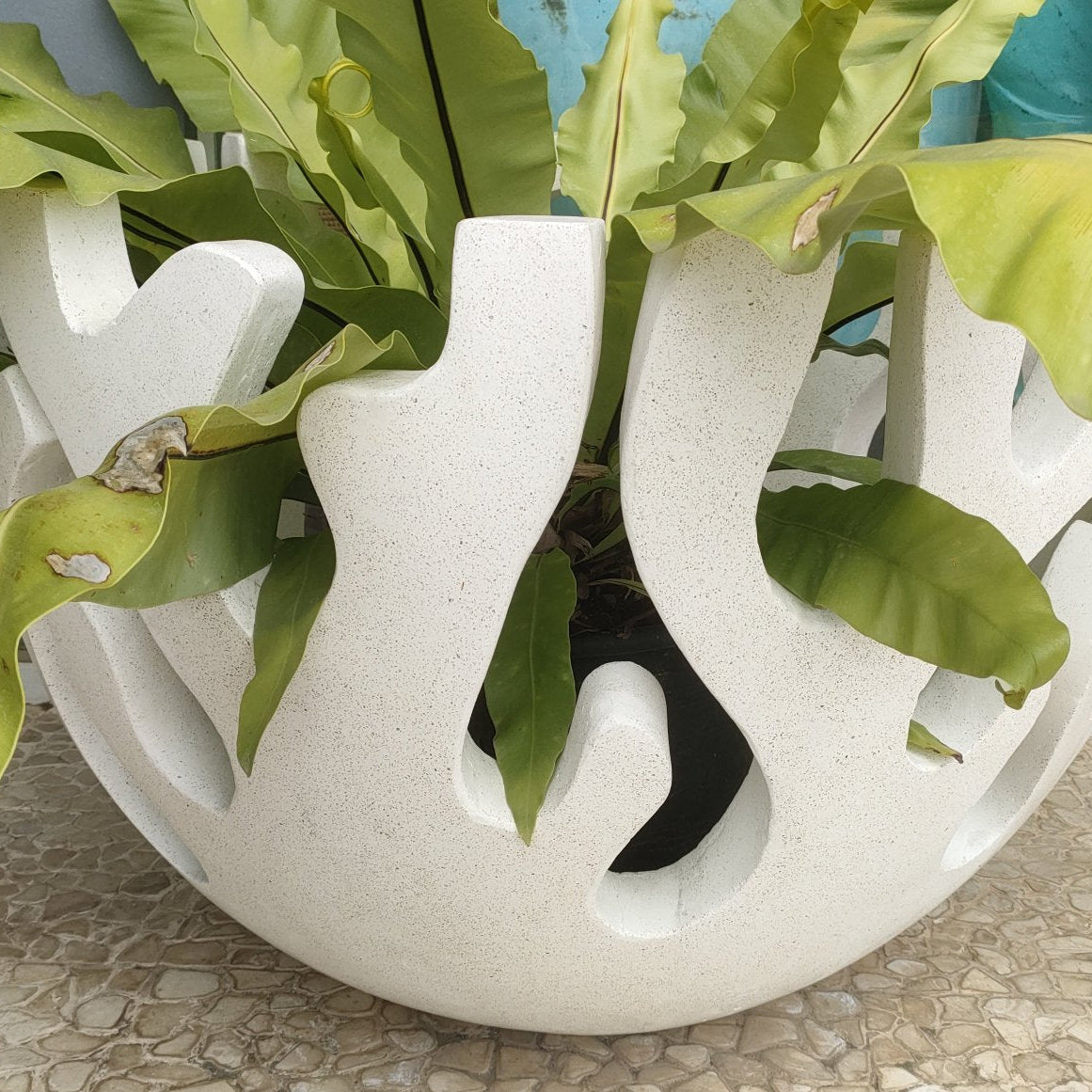 Terrazzo Outdoor Pottery - Root Motive