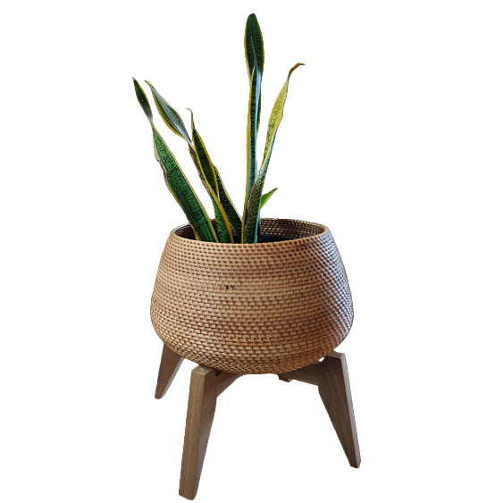 Plant Holder Basket / Rattan - Natural Brown