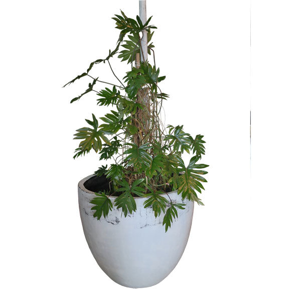Villa Pot - White