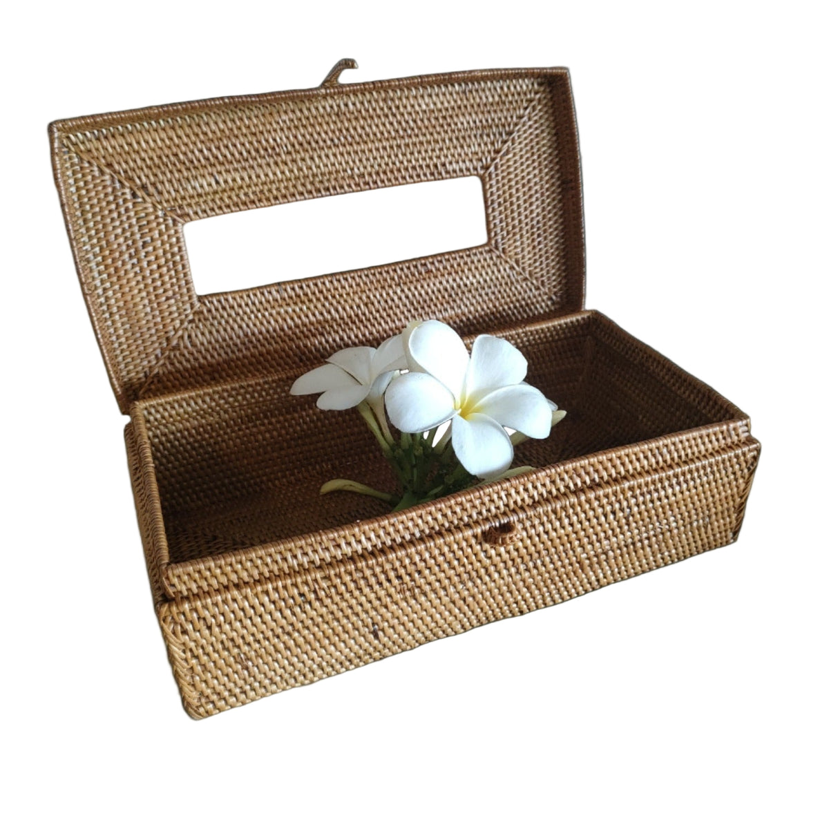 Tissue Refill Box-Rattan/Vine – Zee Zee Interior