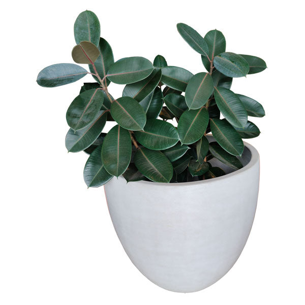 Villa Pottery - Phuket