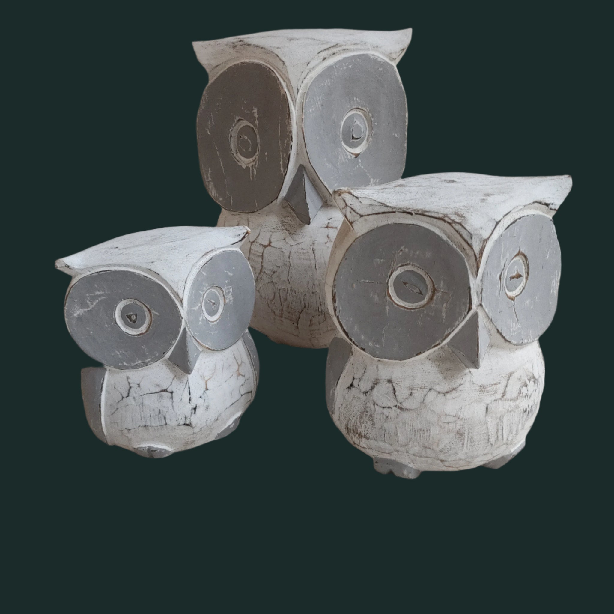 owl 3/set